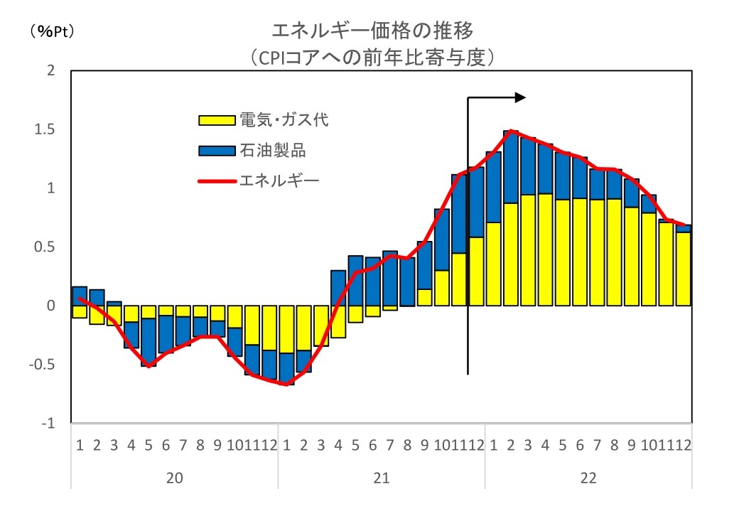 『第一生命経済研究所』より引用