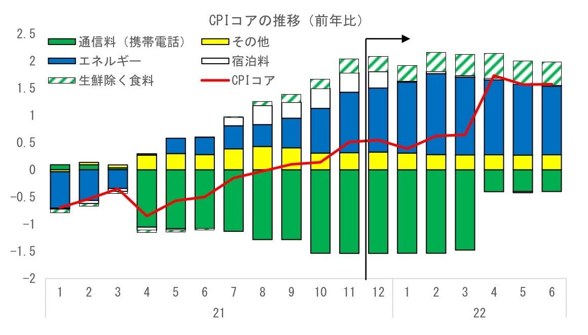 『第一生命経済研究所』より引用