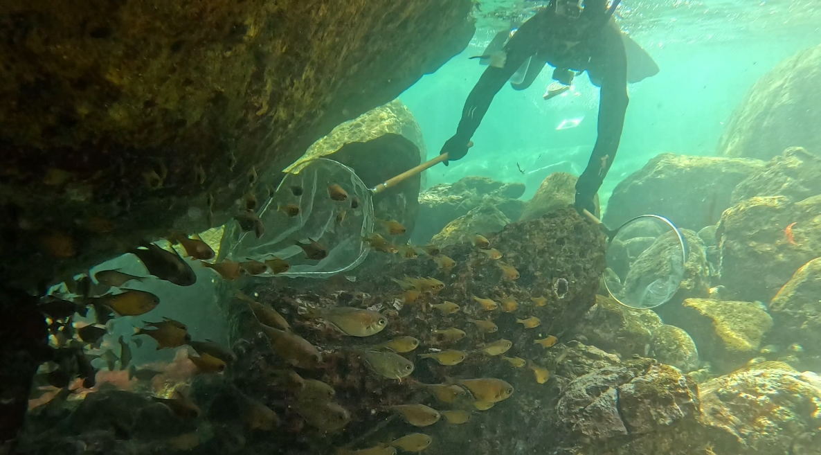 カンブリア宮殿,竹島水族館