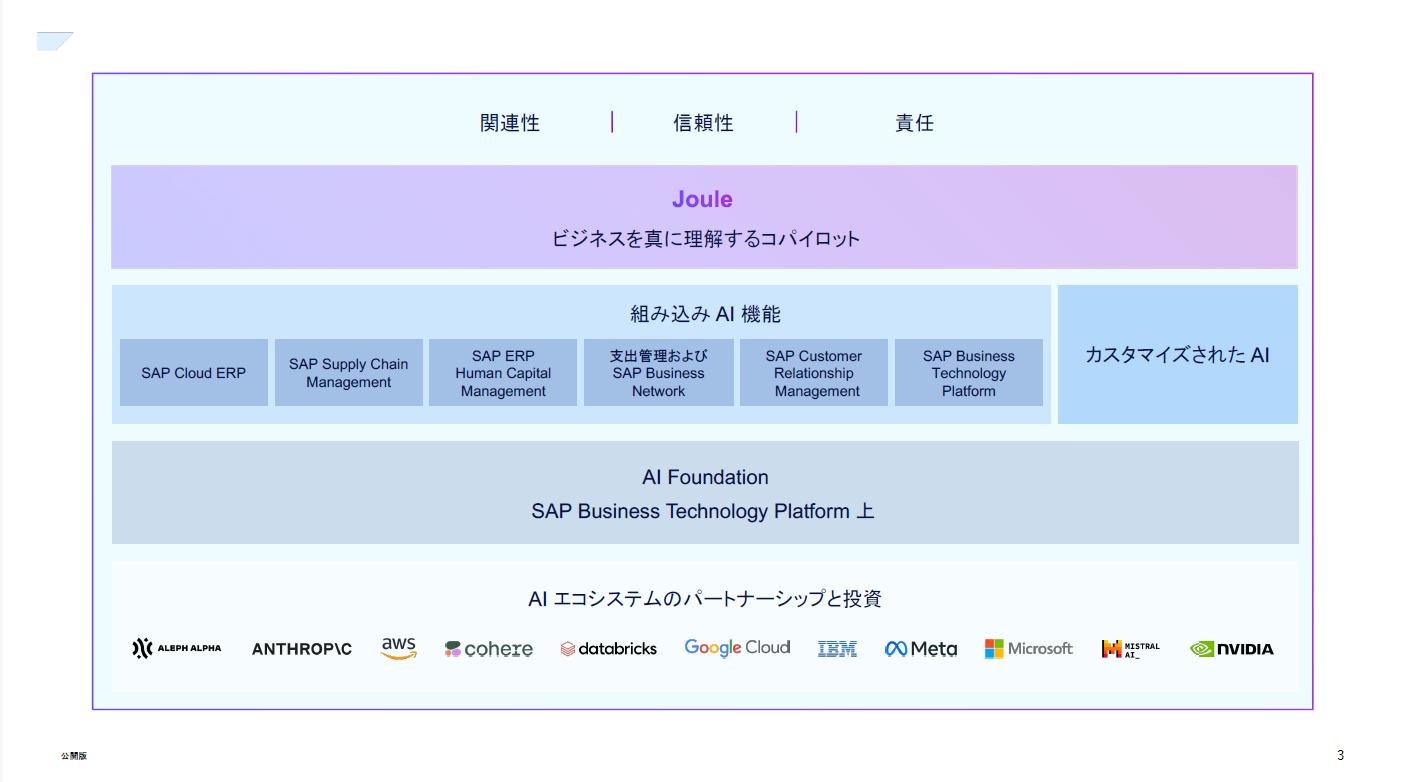 SAP NOW Japan