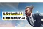 逆風を吹き飛ばす好業績期待銘柄16選aku_241025_tmb.png