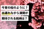 今宵の桜のように?出遅れながら満開が期待される銘柄は