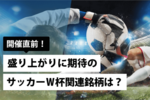 開催直前！盛り上がりに期待のサッカーＷ杯関連銘柄は？