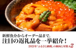 2021年「ふるさと納税」の傾向と対策#2