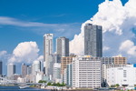 首都圏新築マンションの動向