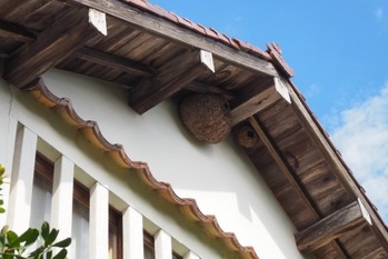 アパートで害虫コバエが発生した場合、大家は損害賠償責任を負うのか？