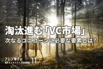 Artistic mystical horse in the fantasy sunny fairy forest landscape. 