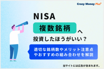 NISA 修正