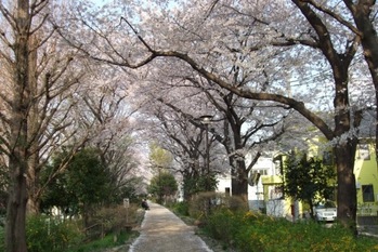 ディアレイシャス下高井戸
