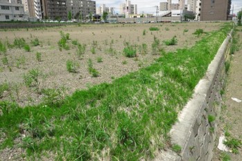 どう活用する？遊休地のさまざまな活用方法と選択するうえでの注意点