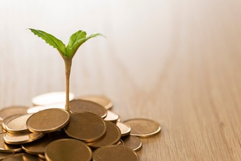 新芽,資金,money