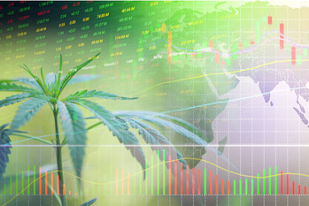 大麻セクター,今後