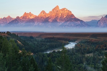中央銀行はジャクソンホールで台本に忠実に演じた