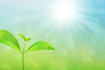 太陽光ファンドにはどんな種類がある？おすすめのファンドと太陽光発電投資との違いを解説