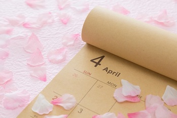 株主優待,4月,20万円未満