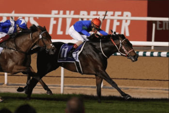 サウジカップで逃げ切り勝ちしたパンサラッサで13億円稼いで笑った人々！！