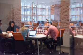 大学別,ベンチャー数,ランキング