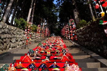 2月開催！素盞鳴（スサノオ）神社雛段飾り＆第33回：河津桜まつり