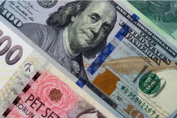 リスク,外貨建て,保険