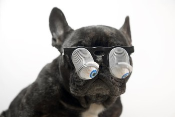 アノマリー,トウシル