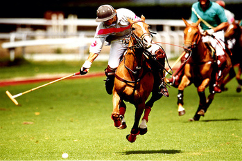 イギリス上流階級の定番スポーツ「ポロ」とは？