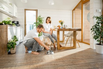 マンション経営者はどう考える？全面禁煙やペット可の賃貸ニーズが増加中