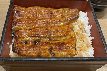 「うな重」を気軽に食べられる日は来るか「オイシックス・ラ・大地」がCVCファンド通じて培養肉を手がけるForsea Foodsに出資