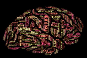 脳の成長サイクル,瀧靖之