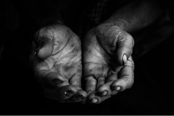 「れいわ現象」の正体3