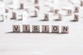 ビジョン