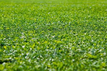 ウェルビーイング度