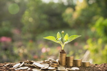 バリュー株相場