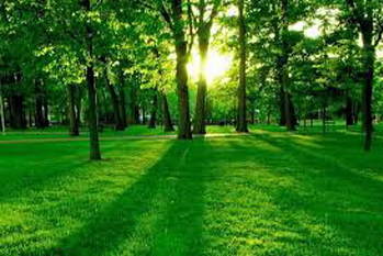 Conducive Business Environment