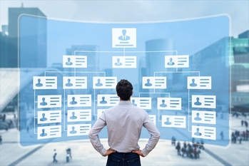 Organization chart showing hierarchy structure of teams in corporation