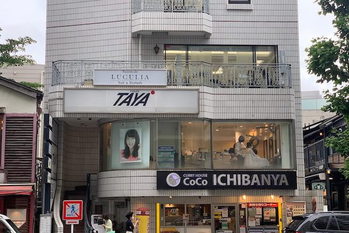 美容室チェーン「タヤ」運営の田谷、営業利益877％増も最終赤字拡大　中村正二新社長のもと巻き返しへ