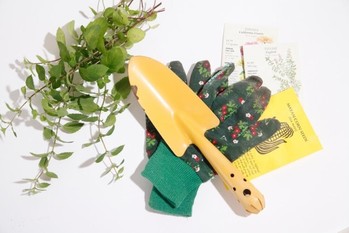 ホームセンターの「DCM」と「コーナン」がそろって営業減益に