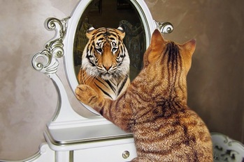 勘違いだらけの「長期投資」