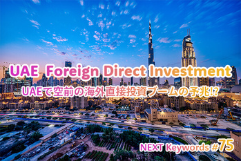 UAE,投資