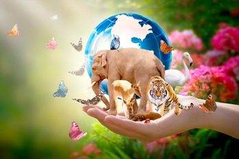 「生物多様性クレジット」とは？導入に向けての課題