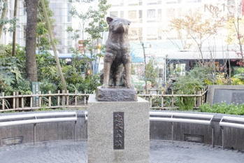 オンラインサロン,森下えみ