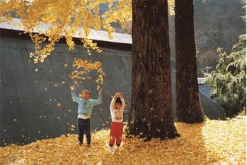 遅咲きのアーティストたちが残したかったもの〜「Walls _ Bridges 世界にふれる、世界を生きる展」作者たちを知る