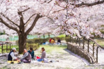 2021年もお花見はダメ? 参加者・自治体・社会の視点から考察