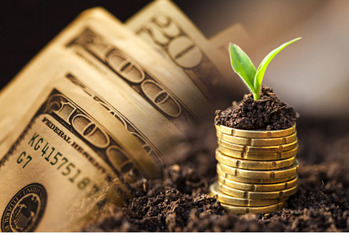 今週,注目,銘柄