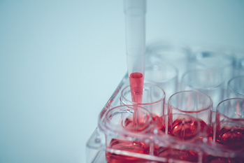 矢野経済研究所