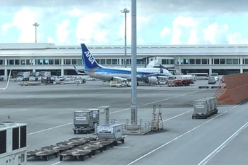 復活ののろしを上げる「HIS」黒字転換で買収を再開