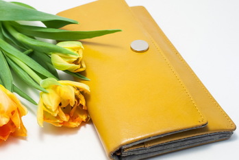 金運アップ,風水