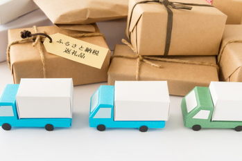 返礼品競争,ガバメントクラウドファンディング