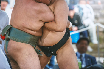 相撲観戦,すすめ