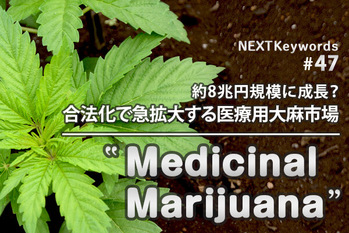 Ziyuuichi Tomowo/PIXTA/ZUU online