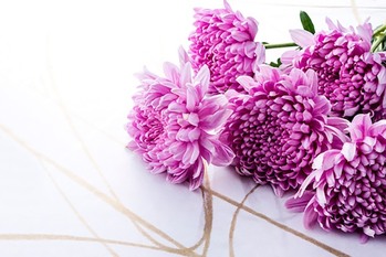 知っておきたい「葬儀とお金」　老後資金からいくらよけておくべき ?